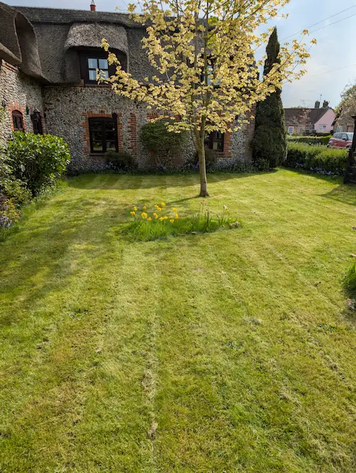 Tidy front garden